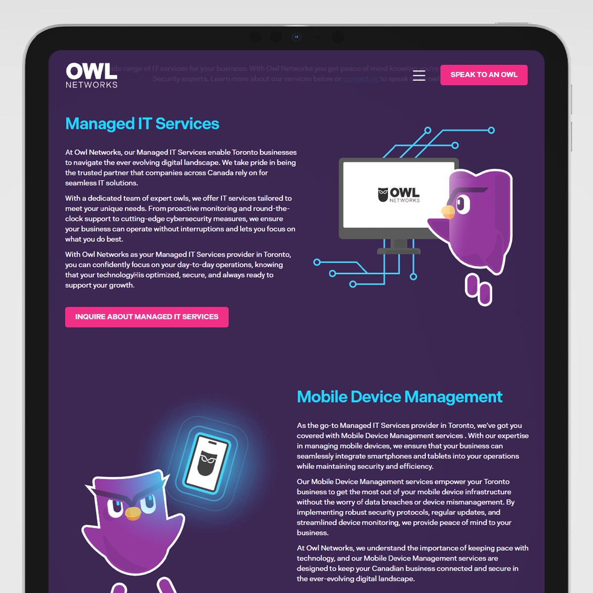 owl networks website services section